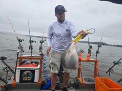 Blue catfish caught while fishing in Mocksville