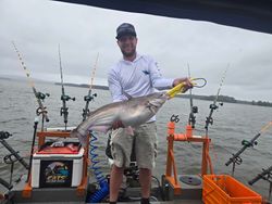 Image of a blue catfish caught while fishing in Mocksville