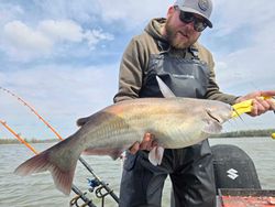 Blue Catfish caught while fishing in Mocksville