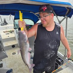 Fisherman catching a blue catfish in North Carolina