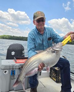 Blue Catfish Caught in NC