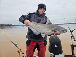Blue Catfish, 25 inches, fishing in NC