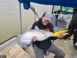Image of a blue catfish caught while fishing in NC
