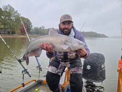 Angler landing a blue catfish in North Carolina