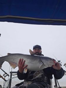 Angler holding a large blue catfish in NC