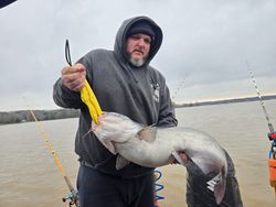One blue catfish caught while fishing in NC