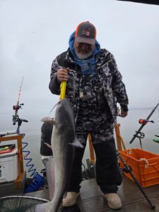 Angler with a Blue Catfish in North Carolina