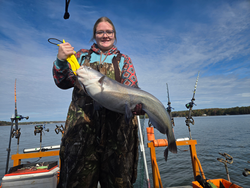 Nice blue catfish using trolling and bait casting techniques at Tamarac Marina!