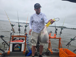 Reeling in a Blue Catfish while the clouds part at Tamarac Marina!