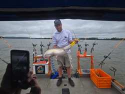Reeling in a 20-inch Blue Catfish while trolling on a partly cloudy day!