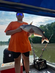 Blue catfish bonanza!