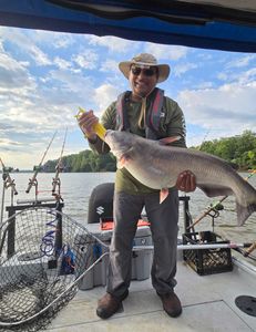 Caught a channel catfish in Mocksville