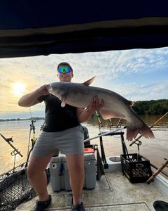 Catching a large channel catfish while fishing in NC