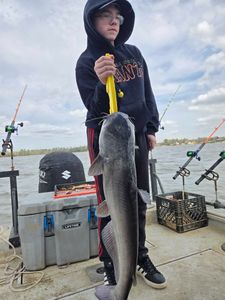 Channel Catfish caught fishing in NC
