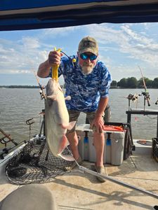 Channel Catfish, Fishing in NC