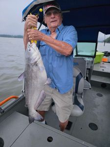 Channel Catfish caught in Mocksville