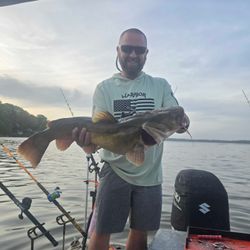 Fish-Species