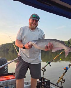 Fisherman holding a blue catfish in NC