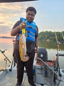Angler fishing in Mocksville