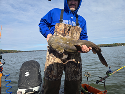Nice flathead catfish using heavy tackle and bait casting techniques at Tamarac Marina!