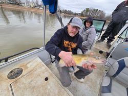 Gafftopsail sea catfish caught during fishing in Mocksville