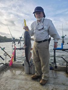 Gafftopsail sea catfish, 22 inches, caught while fishing in NC