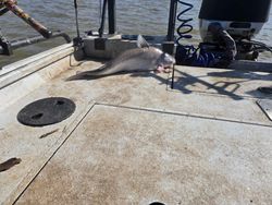 Great fishing trip in NC