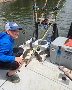 Hardhead Sea Catfish caught in Mocksville