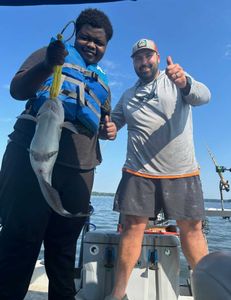One hardhead sea catfish caught while fishing in NC