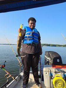 Hardhead Sea Catfish caught while fishing in NC