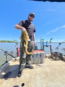Hardhead Sea Catfish caught while fishing in NC