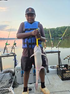 Lone angler fishing in NC