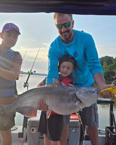 Massive blue catfish caught in North Carolina