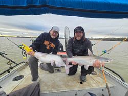 Two blue catfish, a good catch in Mocksville