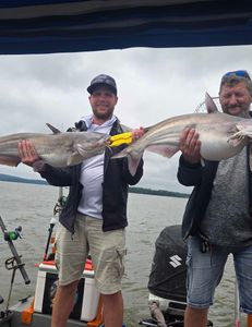 Two blue catfish caught while fishing in North Carolina