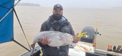 Blue catfish paradise!