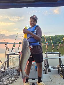 Photograph of a white catfish caught during a fishing trip in Mocksville