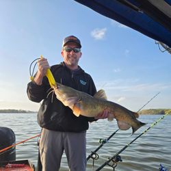 White Catfish caught while fishing in Mocksville