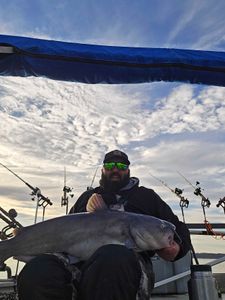 Photo of a 30-inch white catfish caught while fishing in Mocksville