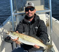 Speckled beauty, trout dreams.