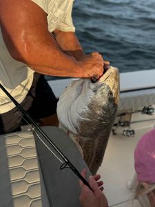 Angler with a catch in NC
