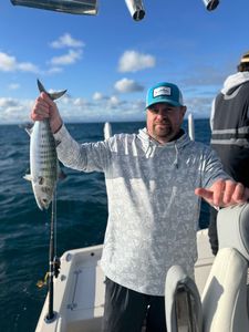Catch of the day: 14-inch Atlantic Bonito fish