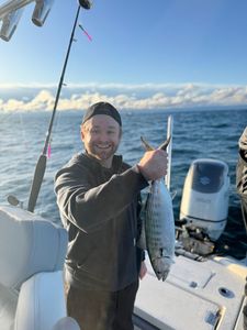 Thrilling Atlantic Bonito fishing in NC
