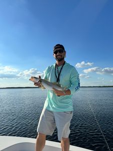 Spotted Weakfish, a 17-inch fish, caught during a fishing tour in Belhaven