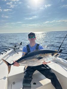 Yellowfin tuna fishing in Belhaven