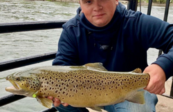 A sea trout caught in Oswego, measuring 18 inches