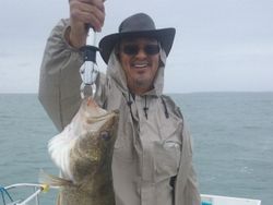 Humongous Walleye in Lake Erie reeled in!