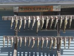 It's a bountiful day at Lake Erie!