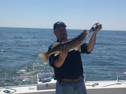 Nice Walleye catch in Lake Erie