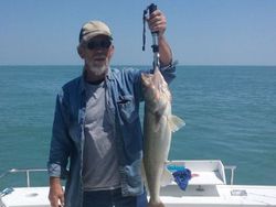 Walleye reeled in Lake Erie!